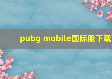 pubg mobile国际服下载